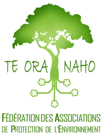 Logo Te Ora Naho