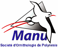 Logo Manu